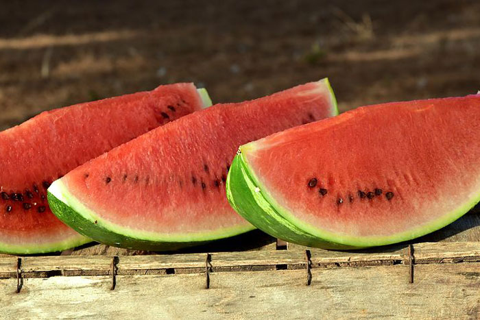 watermelon slices